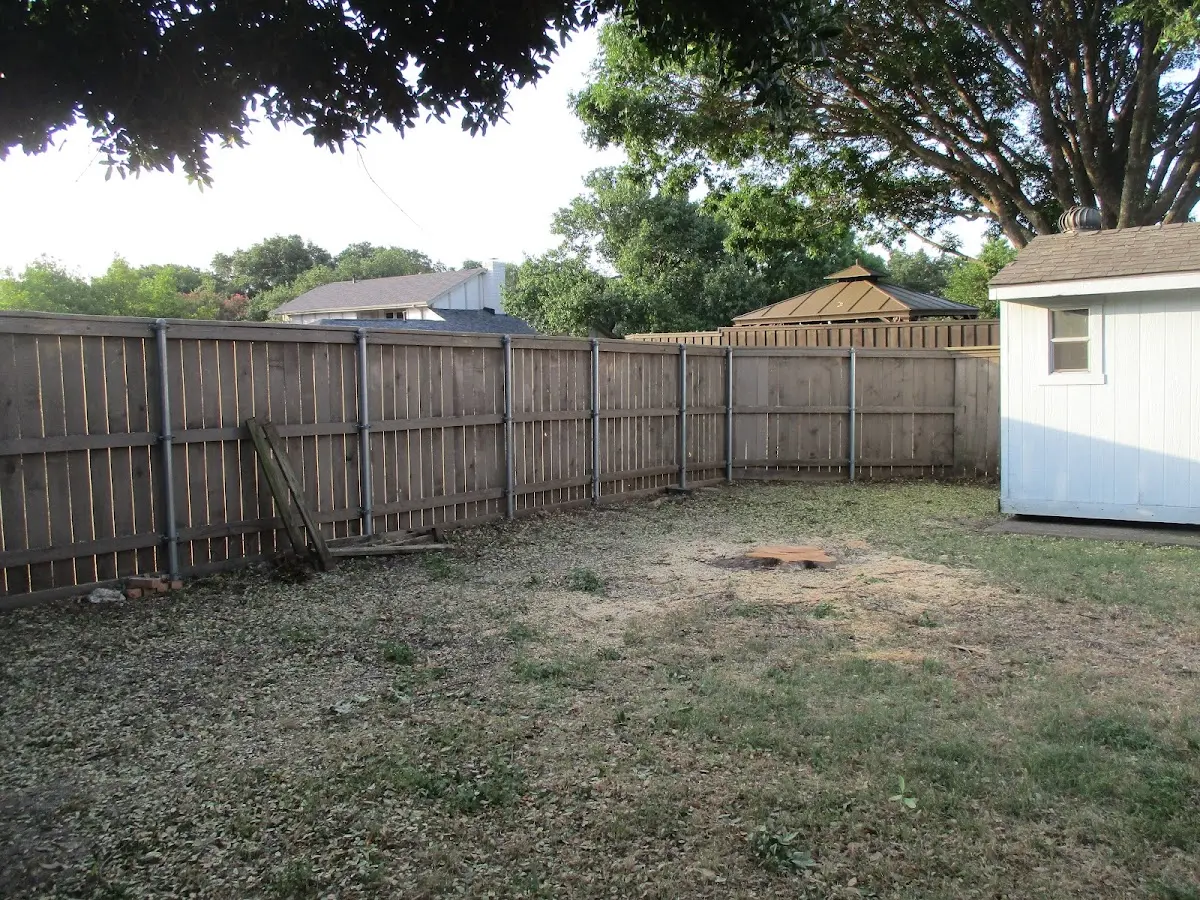 Cleared yard after professional tree removal in Belvidere